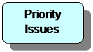 Flowchart: Alternate Process: Priority Issues