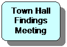Flowchart: Alternate Process: Town Hall Findings Meeting